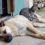glomad marketing 6VQlKJp2vpo unsplash