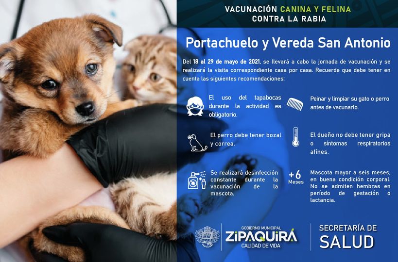 2En Zipaquira se vacunaran a los caninos y felinos contra la rabia puerta a puerta