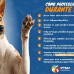 Animales