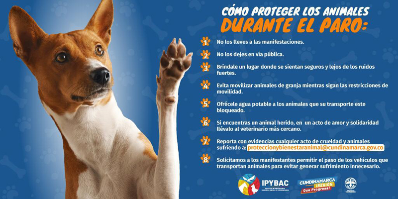 Animales