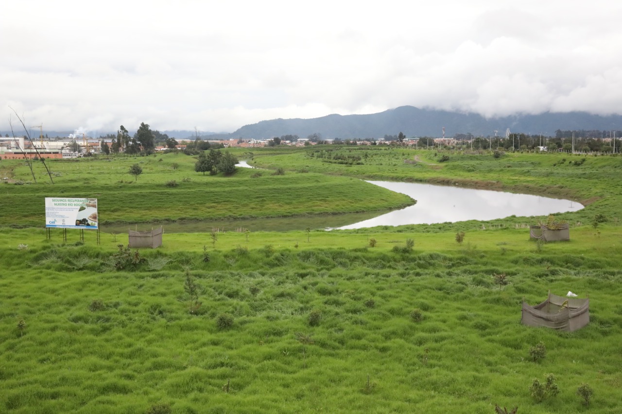 Asi va la recuperacion del Rio Bogota
