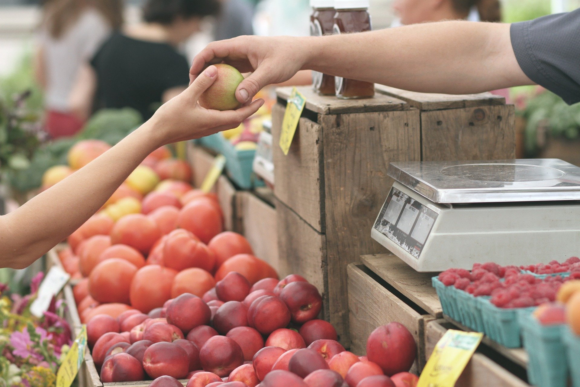 Hoy ingresaron 8.997 toneladas de alimentos a Corabastos