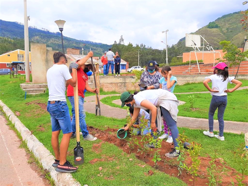 Boyaca uno de 10 departamentos en los que mas arboles se sembraran