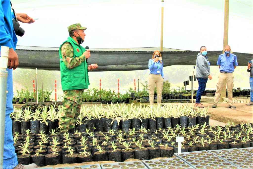 Ejercito se une a proyecto de siembra masiva en el Paramo de Chingaza