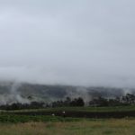 Entre lluvias y temporada seca asi sera el fenomeno climatico en la jurisdiccion Car