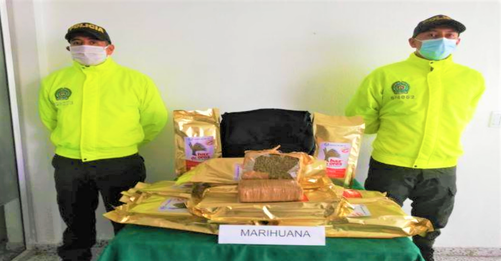Incautan varias libras de marihuana en el transporte publico