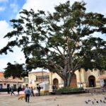 Sector turismo comprometido con la reactivacion economica segura