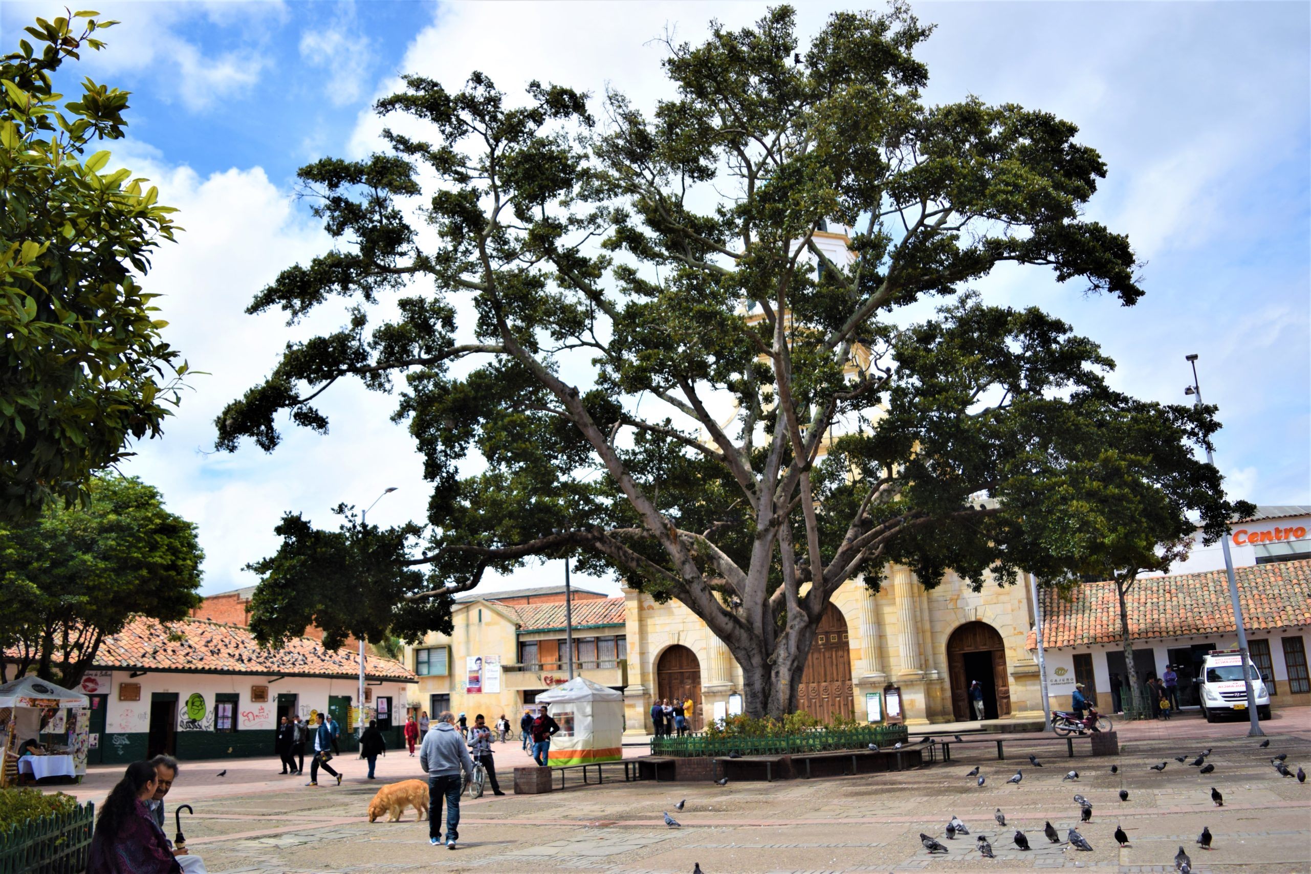 Sector turismo comprometido con la reactivacion economica segura scaled