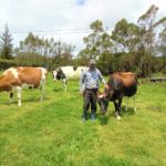 Desde la Alcaldia de Chia se brinda apoyo decidido al sector ganadero