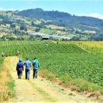 Inicio en Cundinamarca la recoleccion de firmas por el Referendo Campesino.