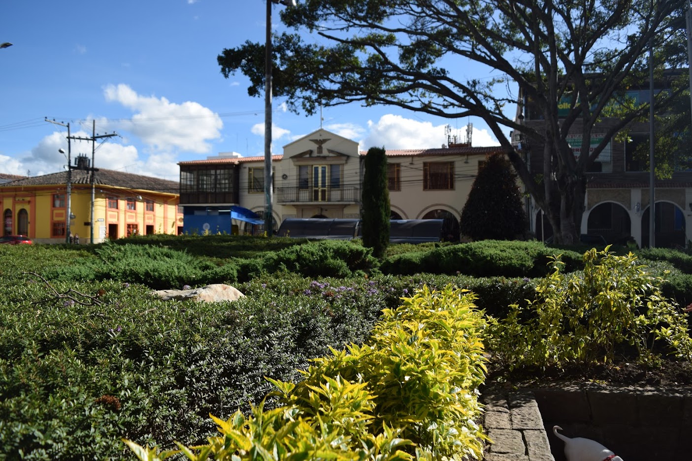 En Cundinamarca se registran 3.586 casos activos de covid 19