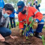 Funza y Bojaca los dos municipios de Cundinamarca que mas han sembrado arboles1