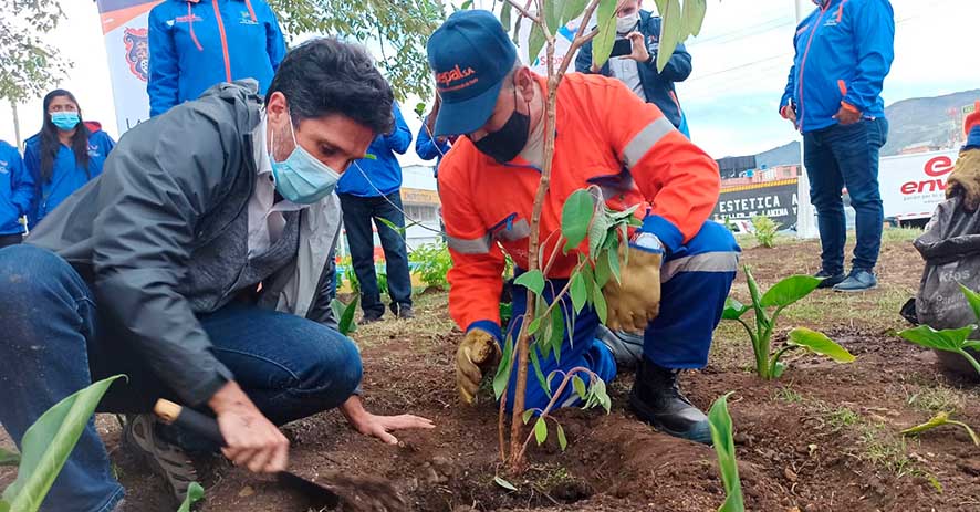 Funza y Bojaca los dos municipios de Cundinamarca que mas han sembrado arboles1