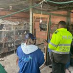 Incautan nueve aves silvestres que permanecian en cautiverio en Mosquera Cundinamarca