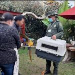Jornada de incautacion de fauna silvestre en Chia 1