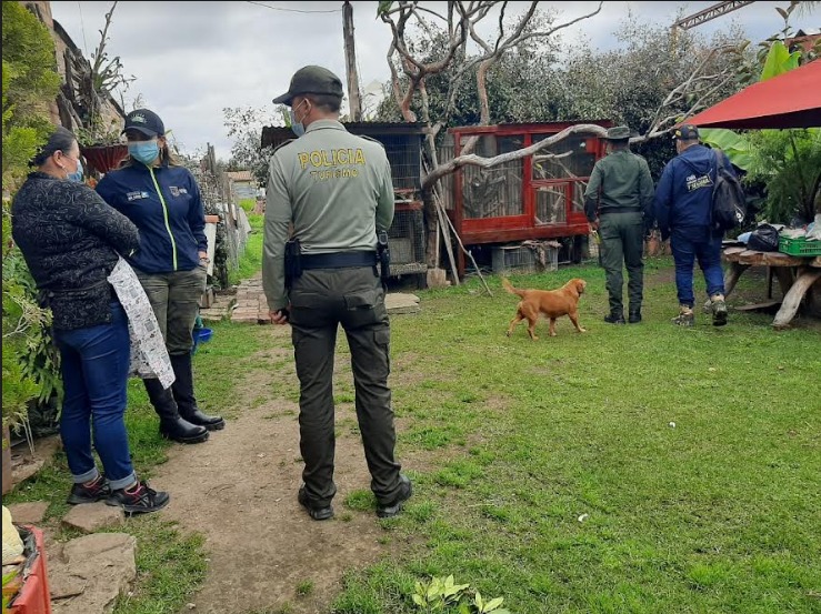 Jornada de incautacion de fauna silvestre en Chia 2