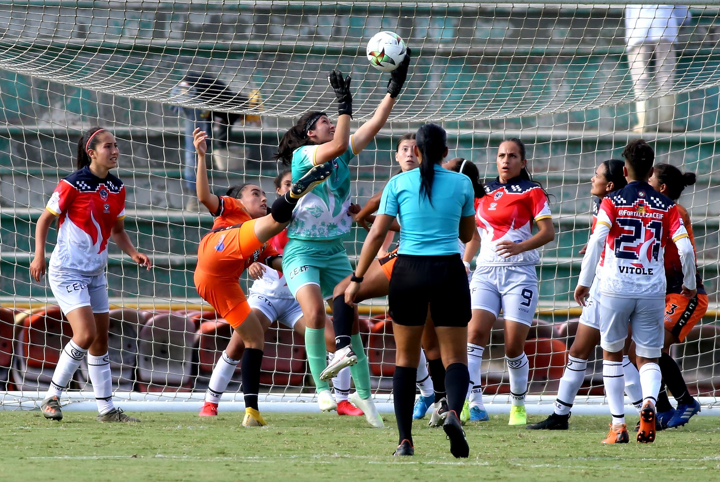 Llaneros Fortaleza 3