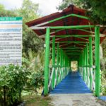Mediante actividades ambientales se celebraron los 40 anos del parque Rio Neusa