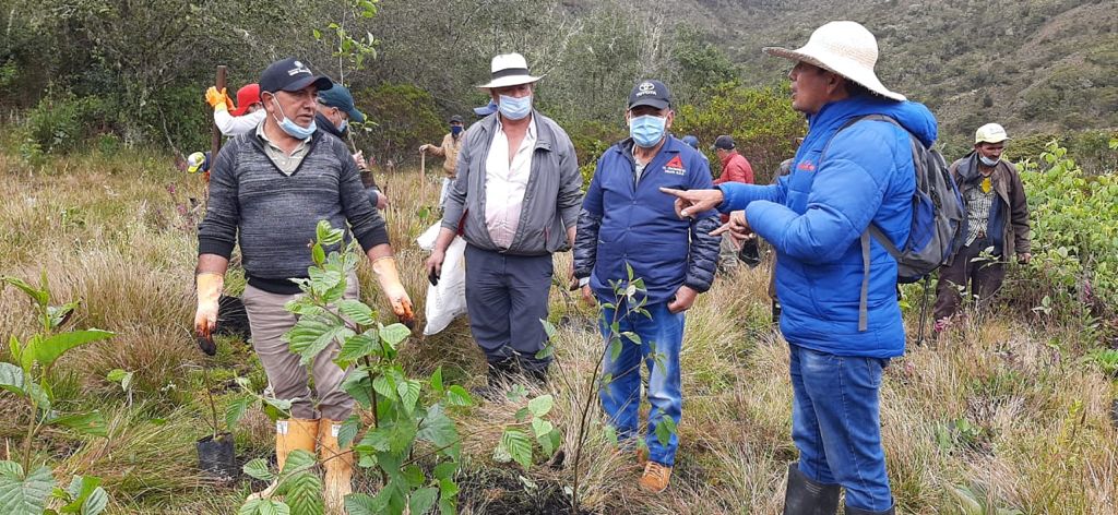 Reforestacion en zona de reserva del nacimiento del Rio Bogota en Villapinzon