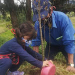 Zipaquira reverdece tras importante jornada de conservacion del medio ambiente