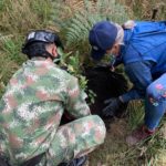 Actividades de recuperacion de Quebradas en la jurisdiccion de Zipaquira