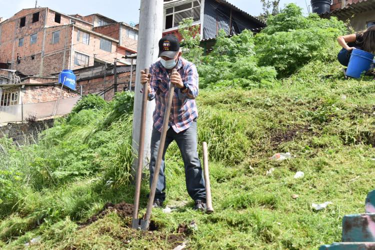 Barrio Samaria de Zipaquira reverdece con la siembra de 50 especies vegetales 1