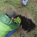 Con la siembra de 25 mil arboles nativos Zipaquira avanza en la reforestacion
