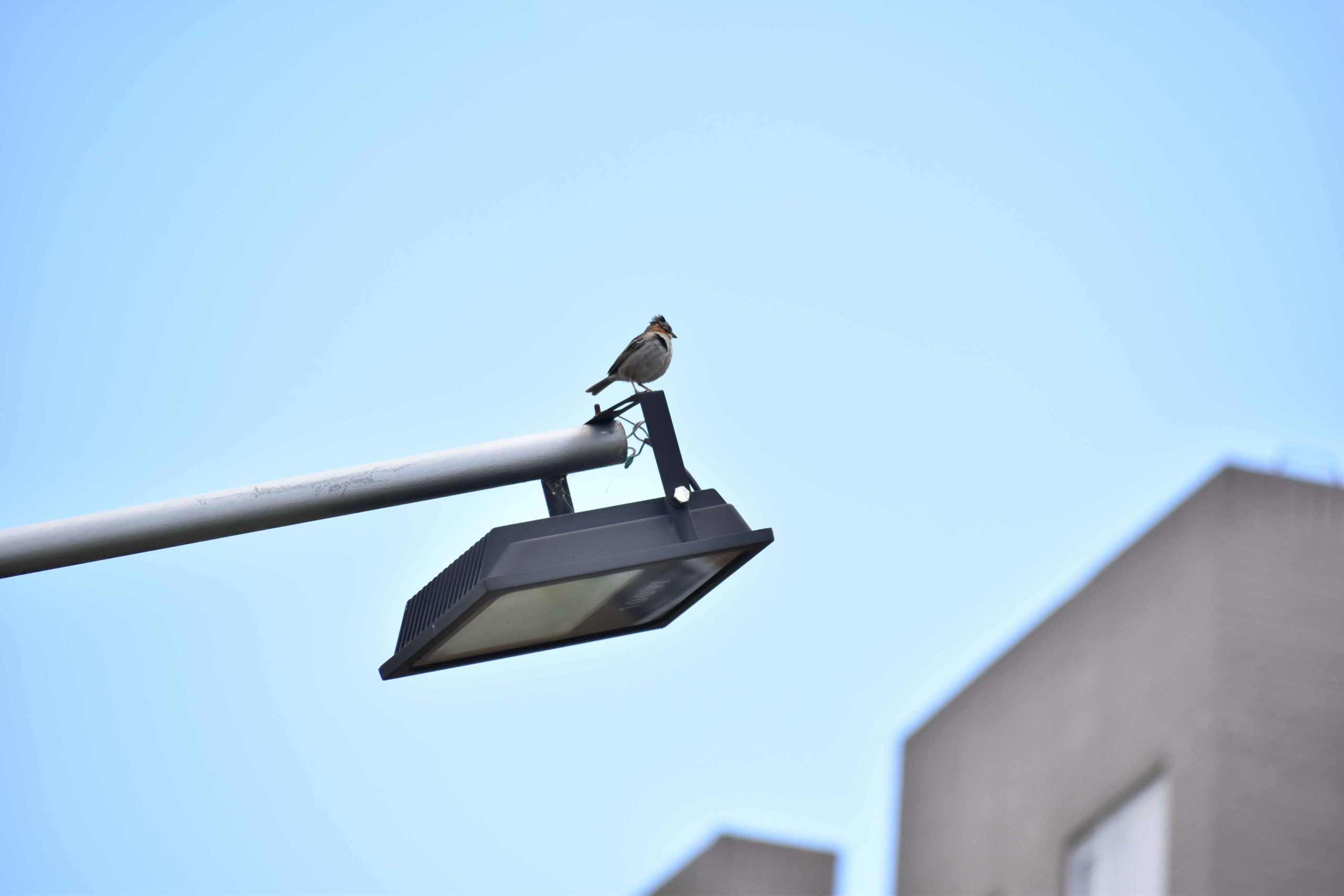 EX1 0982 2 scaled