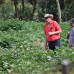 Se buscan representantes agricolas de Zipaquira para AGROEXPO 2021