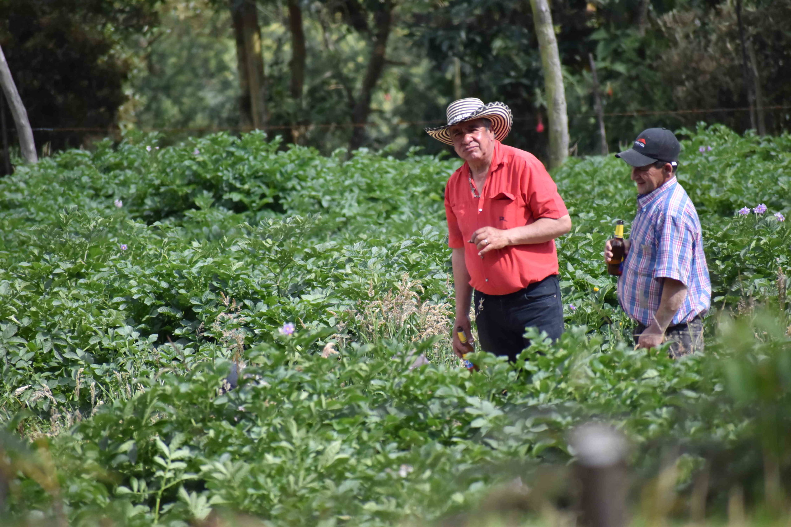 Se buscan representantes agricolas de Zipaquira para AGROEXPO 2021 scaled