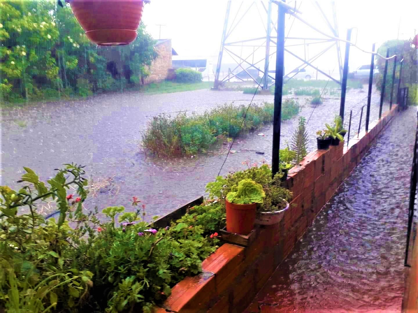 Emergencia invernal en Cota1