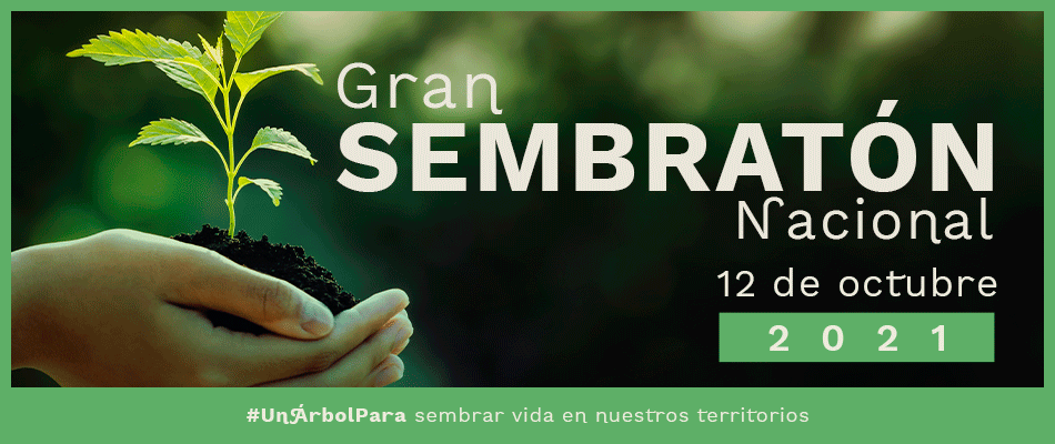 Gran Sembraton Nacional el proximo 12 de octubre