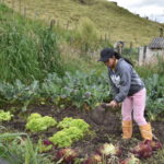 Minsalud fortalece acciones frente a la atencion de la salud de las Mujeres Rurales