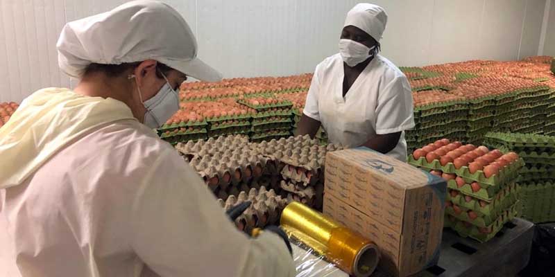 Se fortalece el Programa de Alimentacion Escolar PAE de Cundinamarca 2
