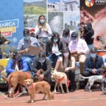Unidad quirurgica movil