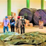 16 curtiembres de Choconta y Villapinzon fueron objeto de visitas sorpresa por la CAR