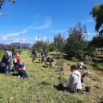 Jovenes de Chia reforestan la cuenca hidrica del Rio Frio