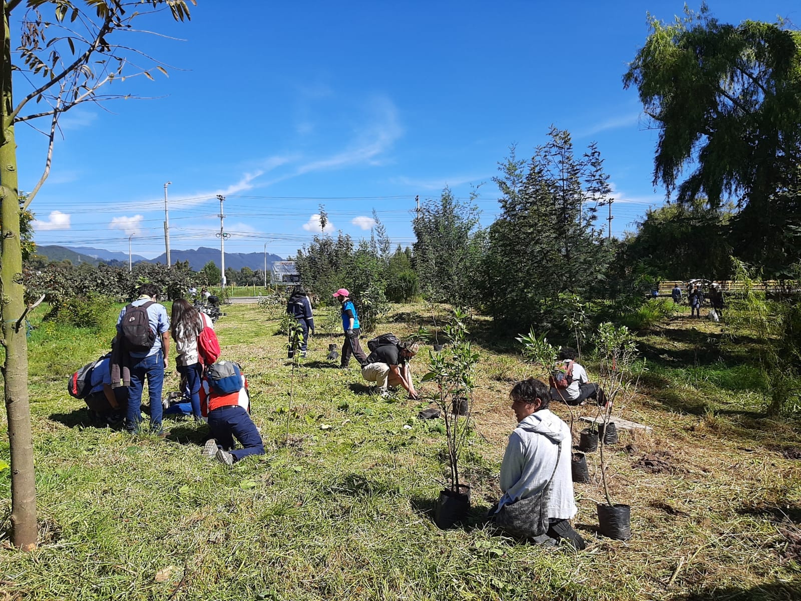 Jovenes de Chia reforestan la cuenca hidrica del Rio Frio