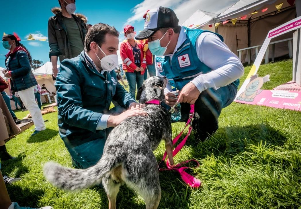 Primer Centro Hospitalario Publico para mascotas en Bogota 2