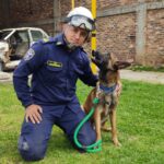 Jack el heroe canino que logro salvar la vida de jovenes extraviados en el Paramo de Guerrero