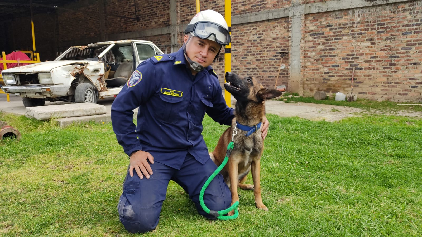 Jack el heroe canino que logro salvar la vida de jovenes extraviados en el Paramo de Guerrero
