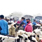 Plaza de Ferias de Zipaquira afianza su proceso de reactivacion