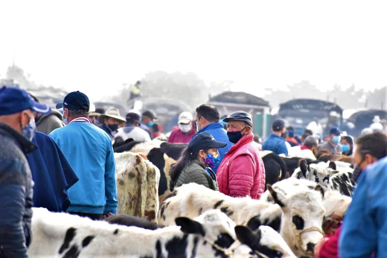Plaza de Ferias de Zipaquira afianza su proceso de reactivacion