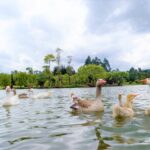 Llamado para practicar turismo responsable en zonas naturales hace la CAR
