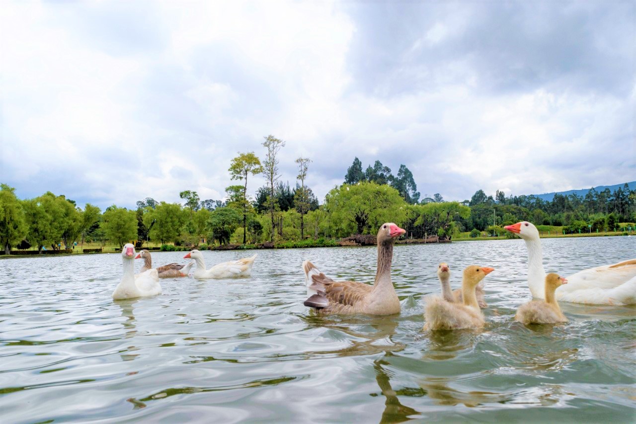 Llamado para practicar turismo responsable en zonas naturales hace la CAR