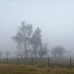 IMG 20200210 062425