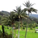 image 2022 04 06 11 16 17