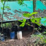 Desmantelado laboratorio de estupefacientes en Silvania Cundinamarca