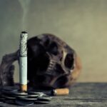 El tabaco tambien dana el medio ambiente