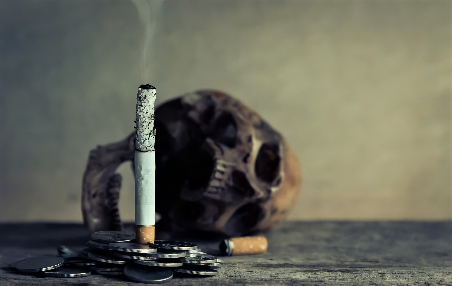 El tabaco tambien dana el medio ambiente